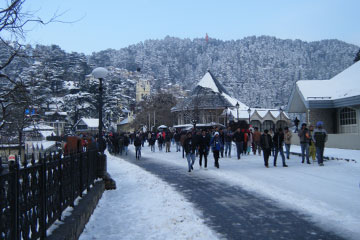 Chandigarh Shimla Manali Tour